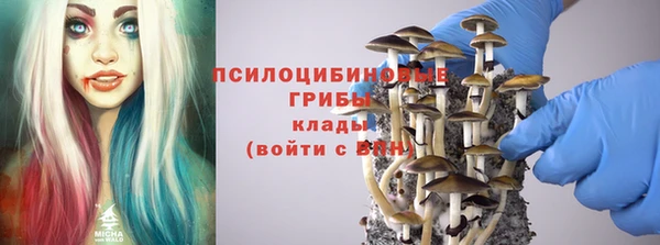 дурь Алексин