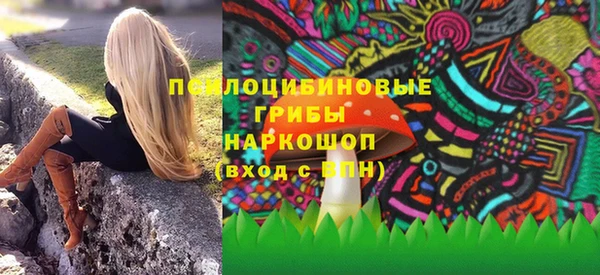 дурь Алексин