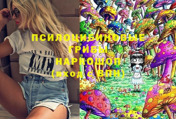 дурь Алексин