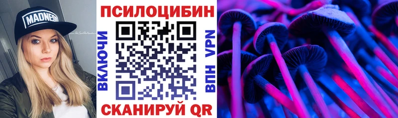 Псилоцибиновые грибы Cubensis Белгород