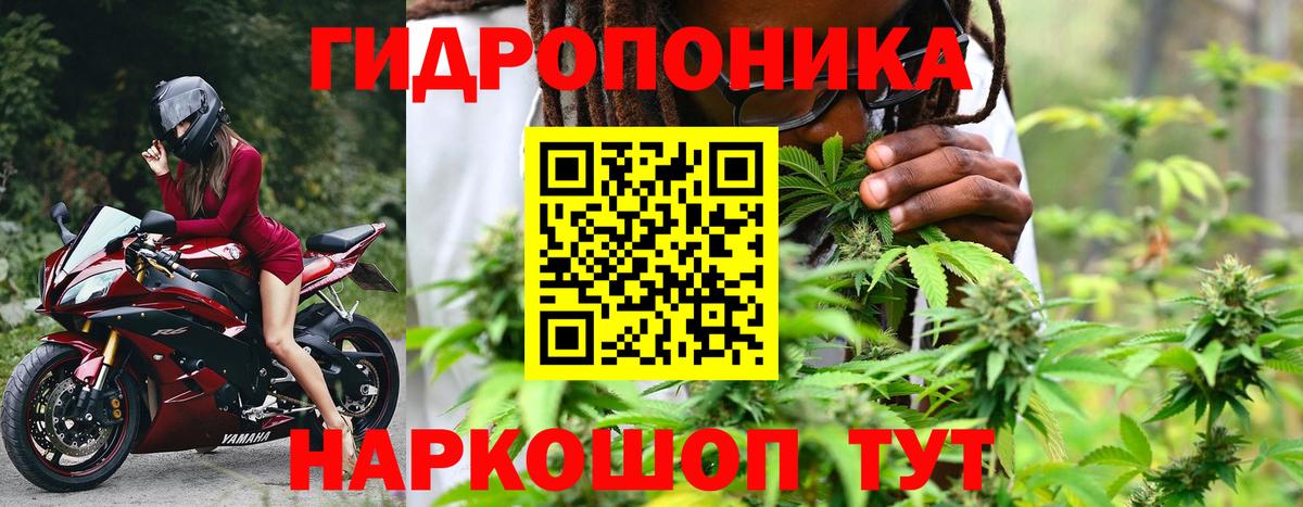 Марихуана гибрид Белгород